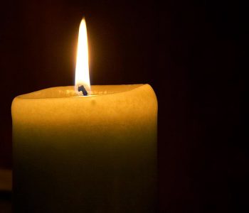 Vdes aktorja e “Gone Girl”