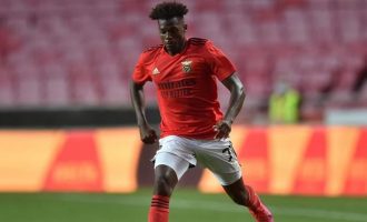 Arsenal transferon yllin e Benficas