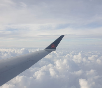 BE-ja ndalon aterimet e fluturimeve nga Bjellorusia