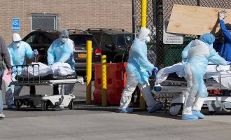 431 të vdekur nga COVID-19 në SHBA