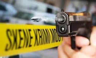 Mosmarrëveshje në mes dy familjeve në Mitrovicë, përdoren dhe armë zjarri