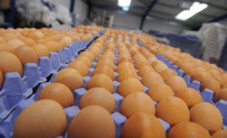 Konfiskohen 72 mijë vezë në Vërmicë