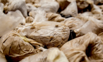 Holandë: Sekuestrohet drogë me vlerë 225 milionë euro