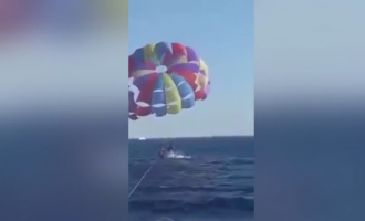 Video sesi peshkaqeni del nga uji dhe kafshon parashutistin në këmbë në Detin e Kuq