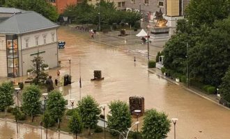 Reshjet e shiut, Uran Ismaili – Komunës: Duhet të kërkoni ndihmë nga të gjithë