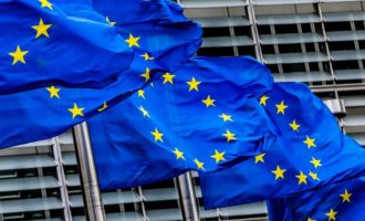 Bashkohen OJQ-të, me nënshkrime kërkojnë nga BE heqjen e vizave