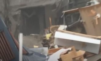 Japoni: 19 të zhdukur pas rrëshqitjes së dheut