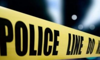 Po mblidhte boronica në mal, bie në greminë dhe vdes