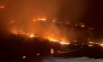 Modelja e njohur publikon videon nga zjarri që kaploi Vlorën, tmerrohet me situatën