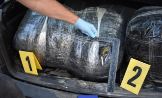 Konfiskohen 31 kg marihuanë në Komoran të Drenasit, arrestohen dy persona