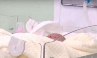 Lind fëmija i parë afgan në Shqipëri, prindërit duan t’i vendosin një emër shqiptar