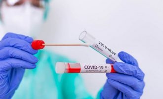 Falsifikonin teste për COVID-19, arrestohen pronari dhe punëtorja e laboratorit në Podujevë