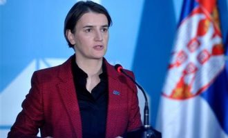 Bërnabiq: Humbasim shumë nëse biem në provokimet e Prishtinës