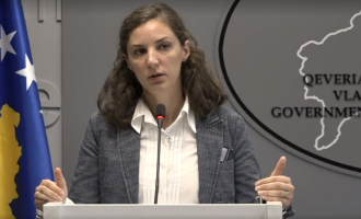 Rizvanolli: S’mund të vendosim për gazsjellësin pa e ditur koston