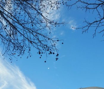 Moti për sot: Diell dhe vranët