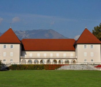 Zvicër: Arrestohet i dyshuari për vrasjen e 20-vjeçarit nga Kosova