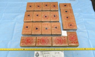 Kapen 450 kilogramë drogë në Australi, dërgesa më e madhe në histori të vendit