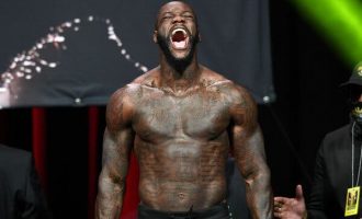 Wilder pezullohet për gjashtë muaj