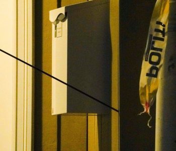 Pesë të vdekur në sulmin me shigjetë në Norvegji