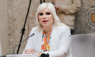 Serbët do të paguajnë rrymë, Mihajloviq: “Vendim brutal” e “presion”