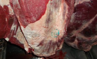 AUV-i konfiskon 400 kg mish të prishur në Gurrakoc të Istogut