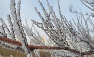 Mot i qetë sot në Kosovë