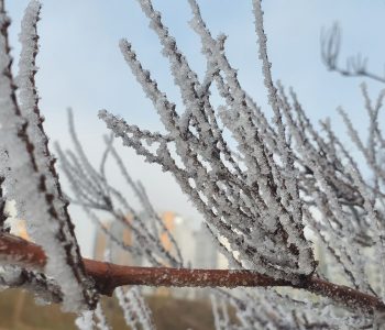 Mot i qetë sot në Kosovë