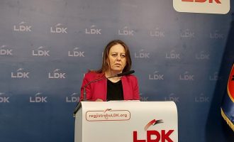 LDK: Qeveria po mundohet që me 100 euro të ndihmojë sektorët privat e publik